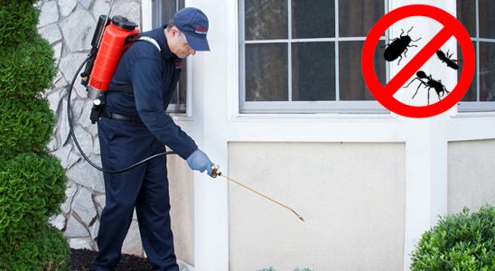 Aybastı Fare İlaçlama böcek ilaçlama ve haşere kontrolü — ilaclama-tr.com